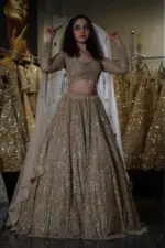 Champagne Gold Heavy Crystal & Zardosi Bridal Lehenga