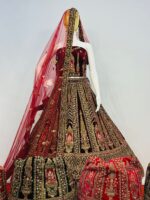 RJ Velvet Lehenga - Image 25