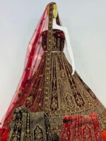 RJ Velvet Lehenga - Image 24