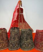 RJ Velvet Lehenga - Image 22